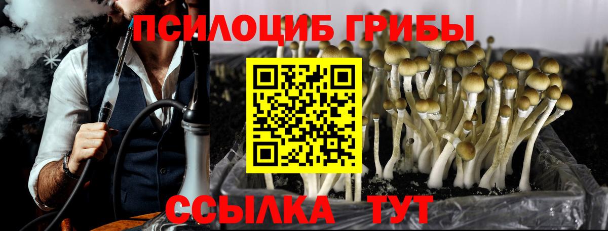 Кыштым  Псилоцибиновые грибы Psilocybe  Псилоцибиновые грибы мицелий  Вход с VPN 