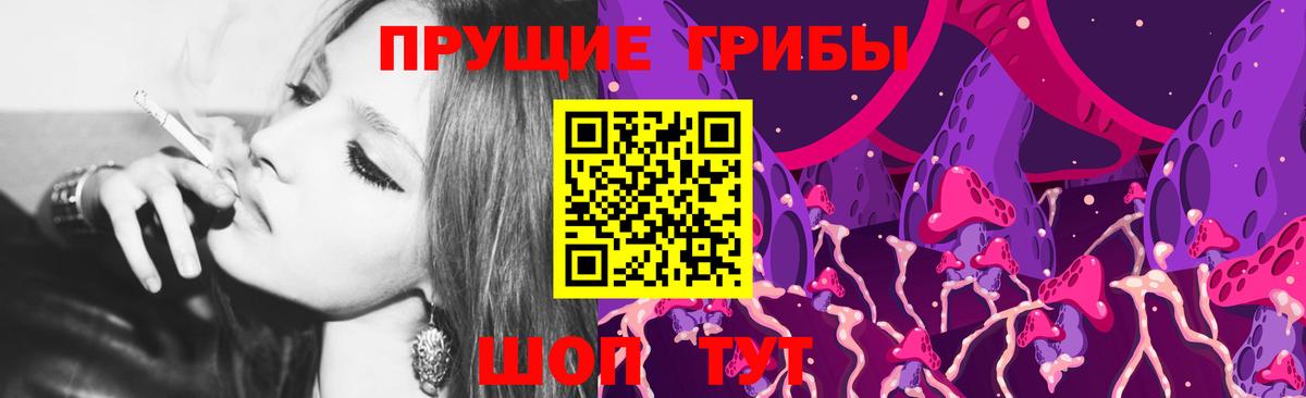Псилоцибиновые грибы мицелий Кыштым
